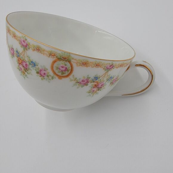 Vintage MZ Austria Habsburg China Teacup Saucer Floral Porcelain Gold Trim - Picture 5 of 11